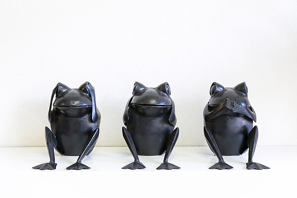 three frogs