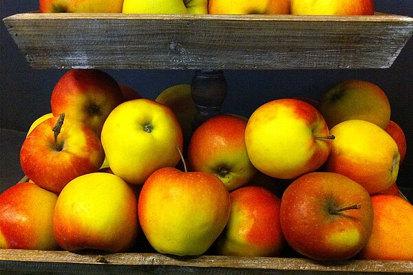 apples